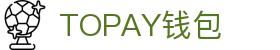 TOPAY钱包 - 安全便捷的个人财务管理工具